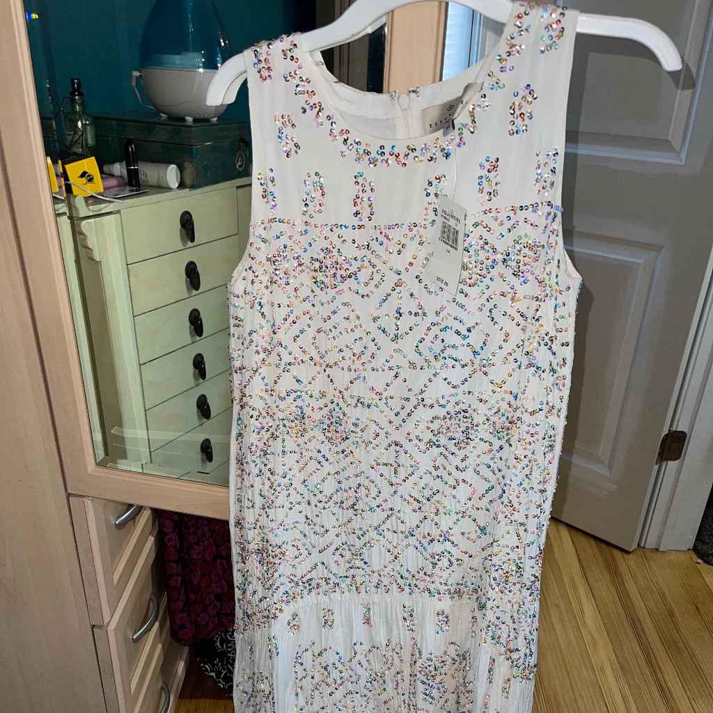 Multi Colored Sequin Dropped Waist Dress